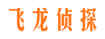 福海市私家侦探公司